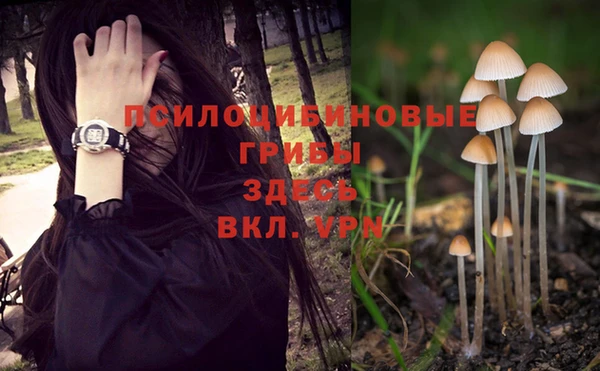 круглые Переславль-Залесский