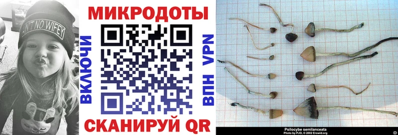 omg ТОР  сколько стоит  Алагир  Псилоцибиновые грибы мухоморы 